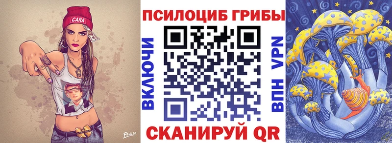 Псилоцибиновые грибы Psilocybe Кириллов
